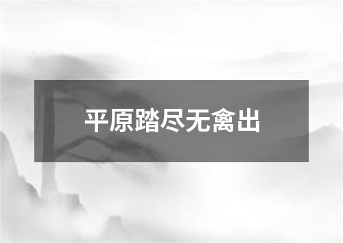 平原踏尽无禽出