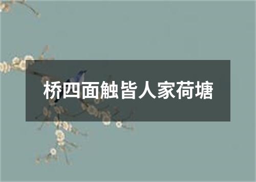 桥四面触皆人家荷塘