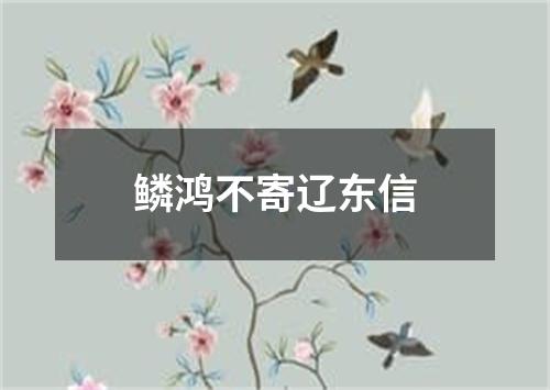 鳞鸿不寄辽东信