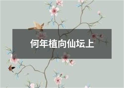 何年植向仙坛上