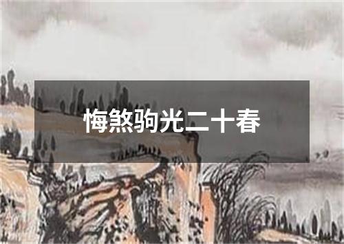 悔煞驹光二十春