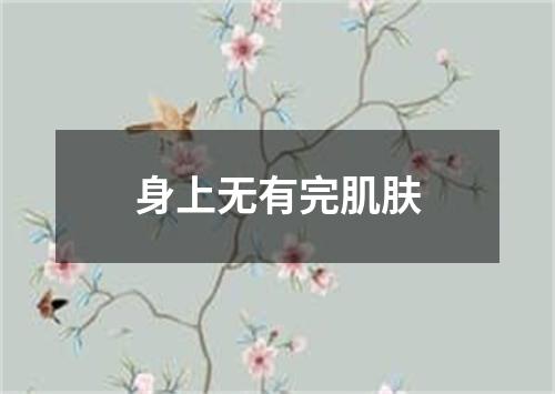 身上无有完肌肤