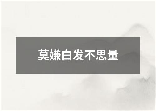 莫嫌白发不思量