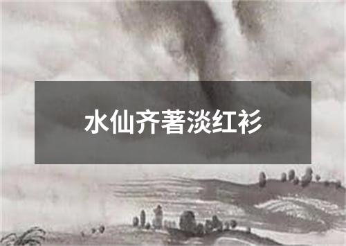 水仙齐著淡红衫