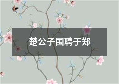 楚公子围聘于郑