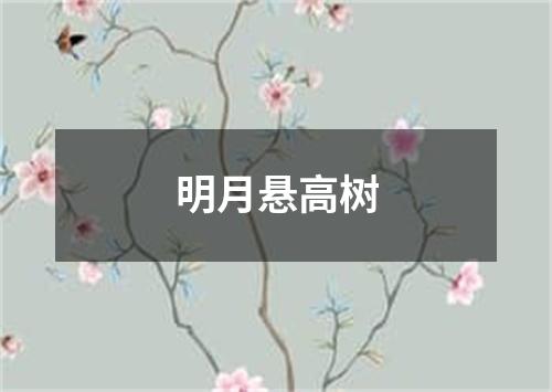 明月悬高树