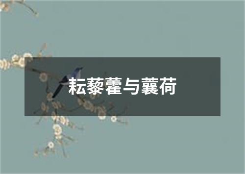 耘藜藿与蘘荷