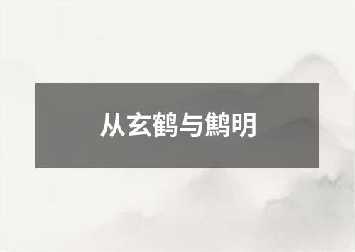 从玄鹤与鹪明