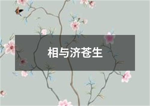 相与济苍生