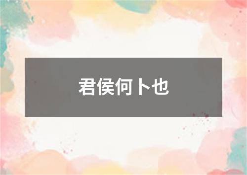 君侯何卜也