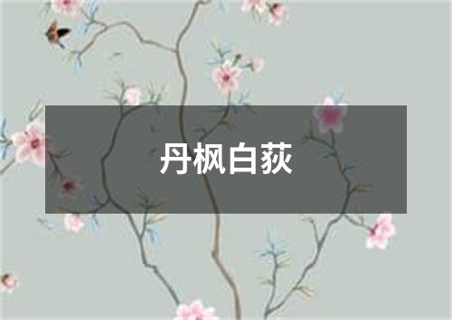 丹枫白荻