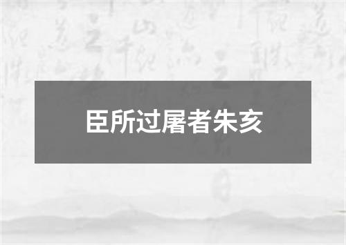 臣所过屠者朱亥