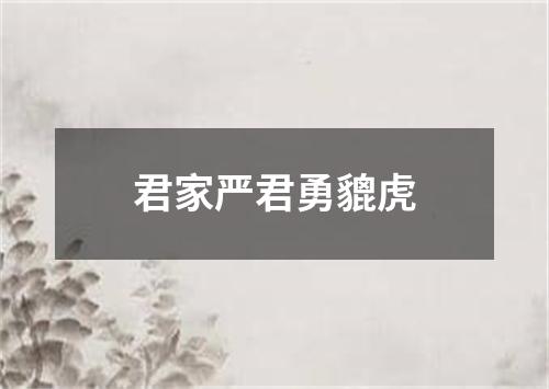 君家严君勇貔虎