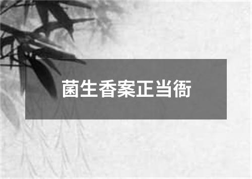 菌生香案正当衙