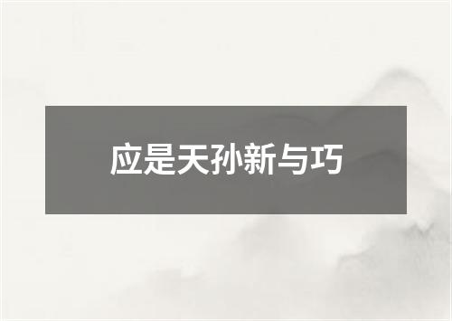 应是天孙新与巧