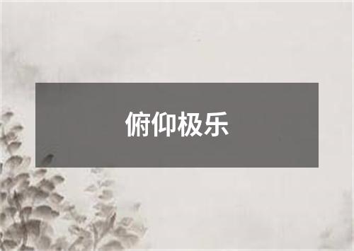 俯仰极乐