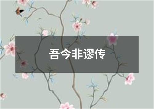 吾今非谬传