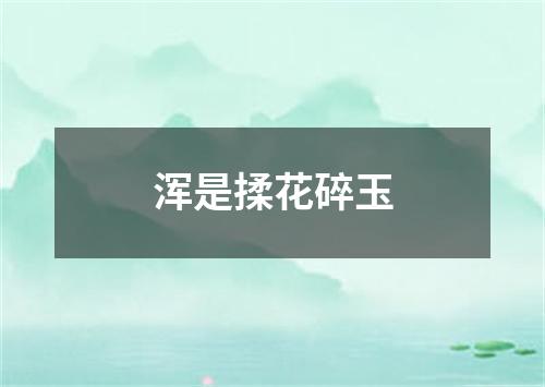 浑是揉花碎玉