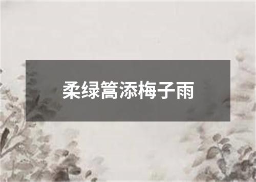 柔绿篙添梅子雨