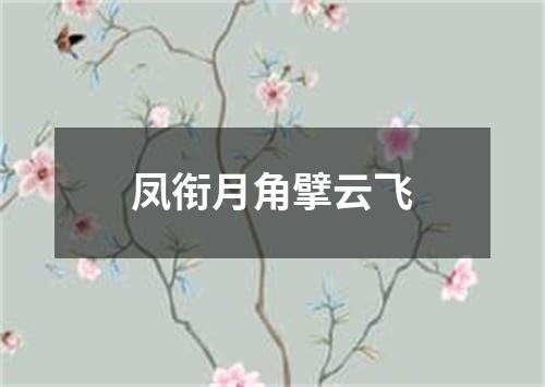 凤衔月角擘云飞