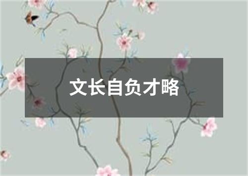 文长自负才略