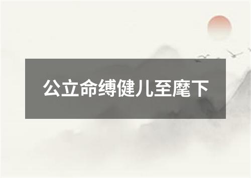 公立命缚健儿至麾下