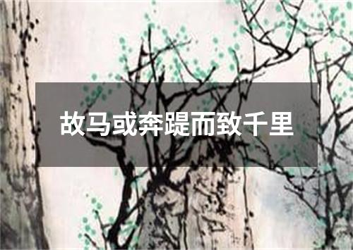 故马或奔踶而致千里