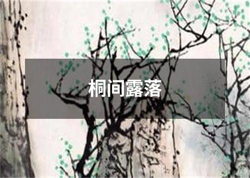 桐间露落