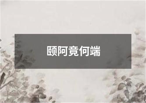 颐阿竟何端