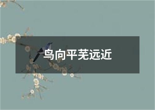 鸟向平芜远近