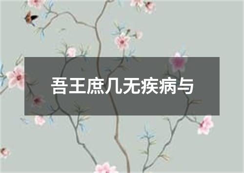 吾王庶几无疾病与