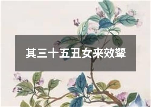 其三十五丑女来效颦