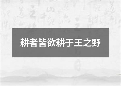 耕者皆欲耕于王之野