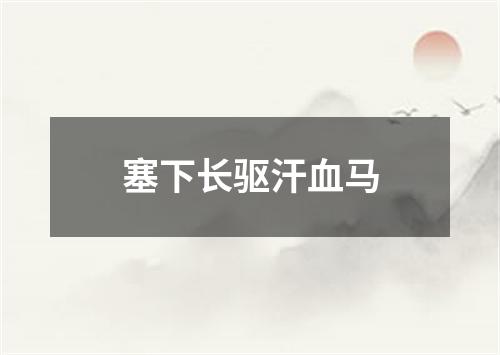 塞下长驱汗血马