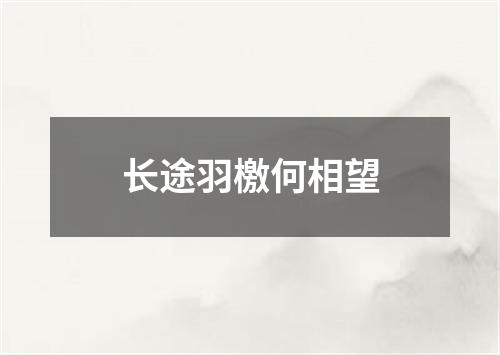 长途羽檄何相望