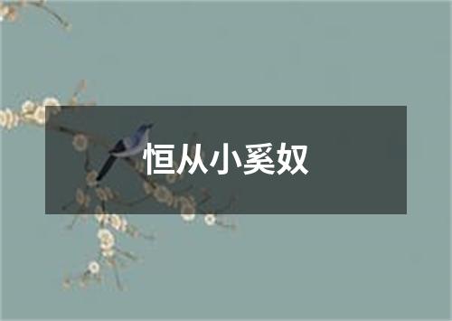 恒从小奚奴