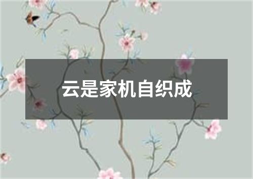 云是家机自织成