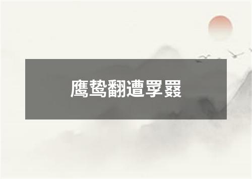 鹰鸷翻遭罦罬