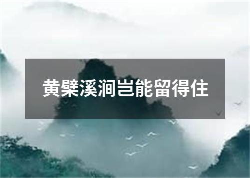 黄檗溪涧岂能留得住