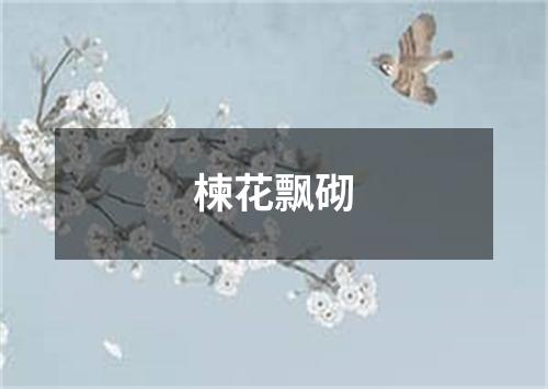 楝花飘砌