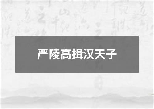 严陵高揖汉天子