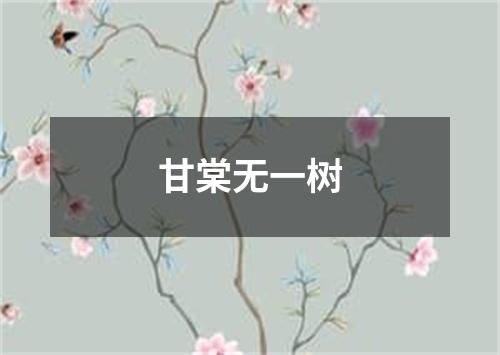 甘棠无一树