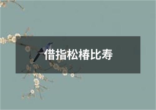 借指松椿比寿