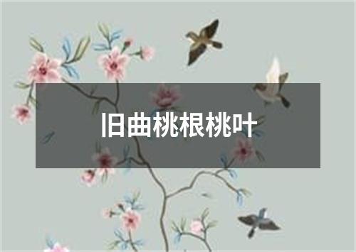 旧曲桃根桃叶