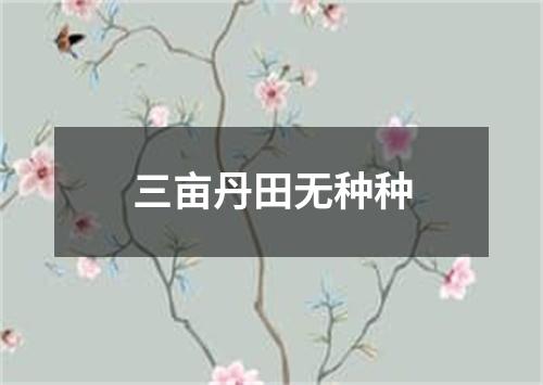 三亩丹田无种种