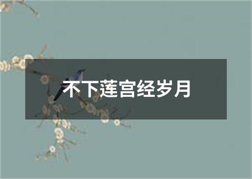 不下莲宫经岁月