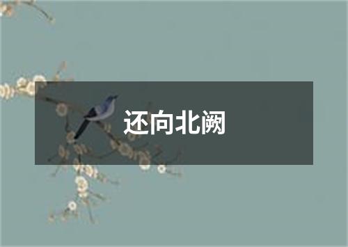 还向北阙