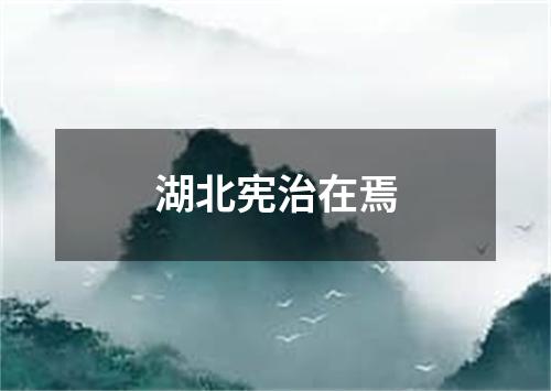 湖北宪治在焉