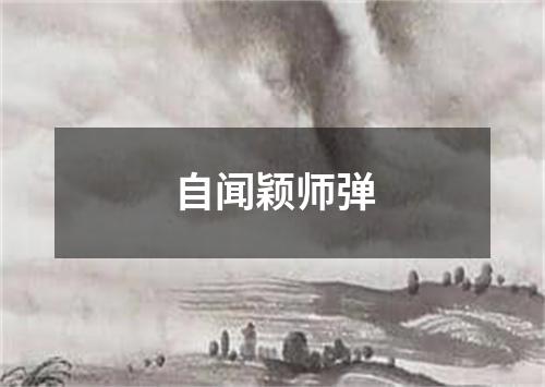 自闻颖师弹