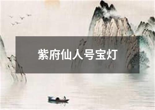 紫府仙人号宝灯